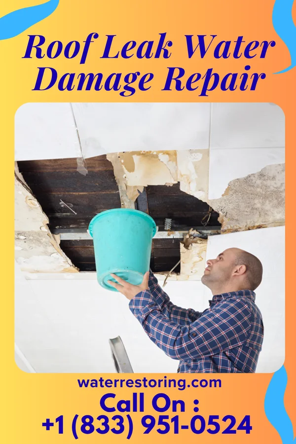 Roof Leak Water Damage Repair in Bonesteel, SD