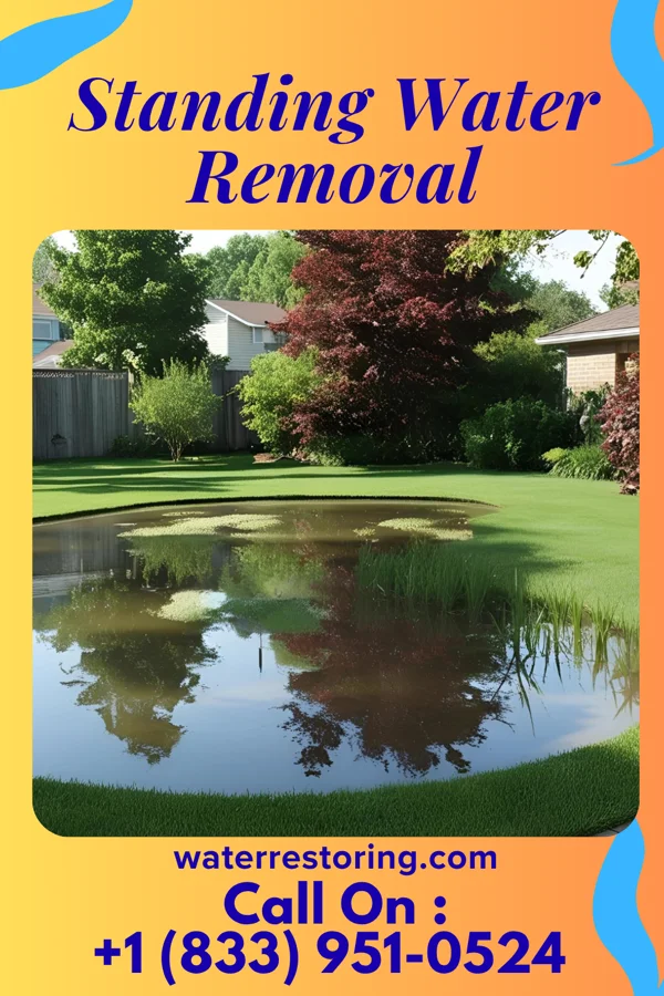 Standing Water Removal in Bonesteel, SD